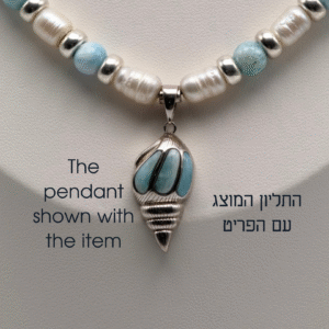 יציקה קונכיה משובץ לרימר