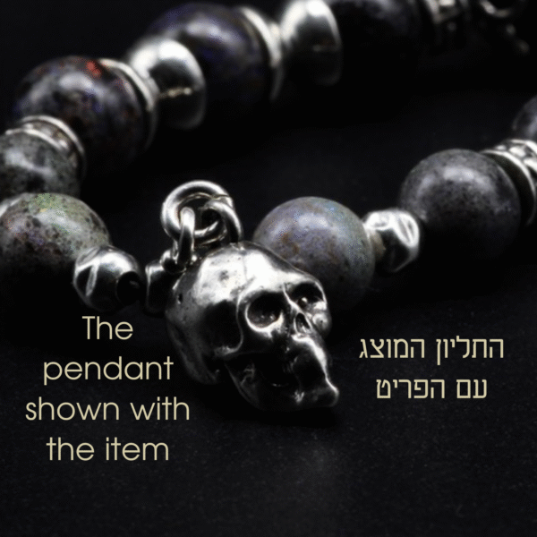 ⁦VENUS 2⁩ – תמונה ⁦21⁩